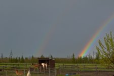 DSC_1946.jpg