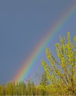 DSC_1947.jpg