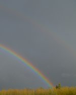 DSC_1937.jpg
