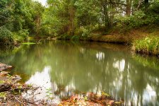 DSC_0812_HDR_webshot.jpg