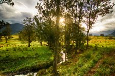 DSC_0954_HDR_webshot.jpg