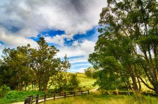 DSC_0959_HDR_webshot.jpg
