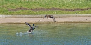 DSC_3362.jpg