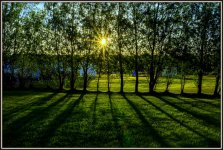 600_9806.jpg