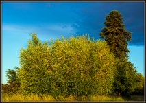 600_9775.jpg