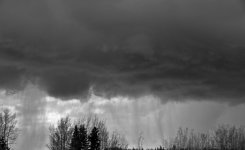 DSC_1919.jpg
