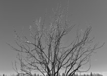 DSC_1960.jpg