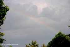 154 Rainbow-140603_01.jpg