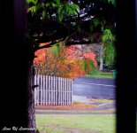 Out the window LOL.jpg