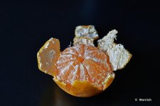 Sweet Orange.jpg