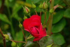 DSC_7597_edited.jpg
