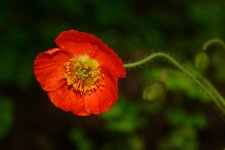 DSC_7617_edited.jpg