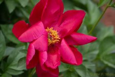DSC_9541.jpg