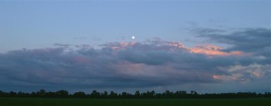 DSC_0156.jpg
