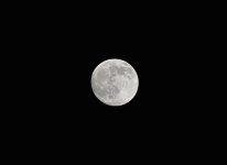 DSC_0178.jpg