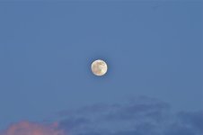DSC_0162.jpg