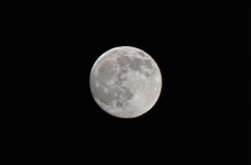 DSC_0181.JPG