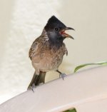 DSC_6449.jpg