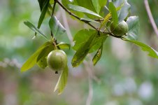 DSC_6174.jpg