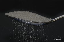Sugar Sweet.jpg