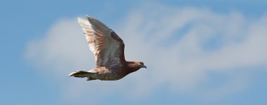 DSC_3629.jpg