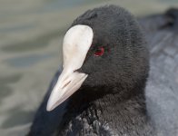 DSC_3671.jpg