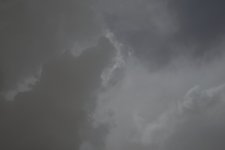 DSC_6605.jpg