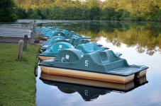 2014-06-03 Boats at Sesqui Park Columbia SC - for upload.jpg