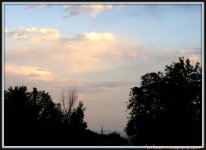 After the Storm 3.jpg