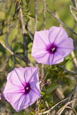 DSC_1065_webshot.jpg