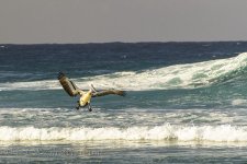 DSC_1084_webshot.jpg