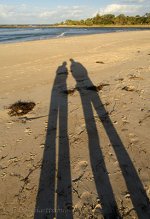 DSC_1094_webshot.jpg