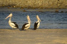 DSC_1105_webshot.jpg