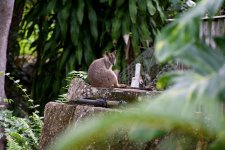 DSC_6179.jpg