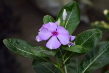 _DSC5850.jpg