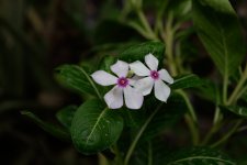 DSC_6610.jpg