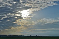 DSC_0094.jpg