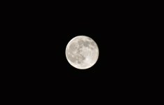 DSC_0140.jpg
