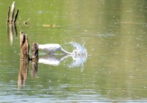 DSC_6183.jpg