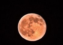 strawberry moon600.jpg