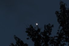 _DSC0644.jpg