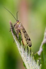 longlands-9.jpg