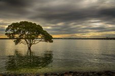 DSC_1212_HDR_webshot.jpg