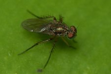 DSC_6234.jpg