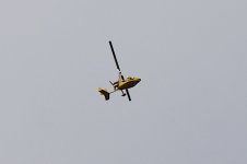 DSC_6243.jpg