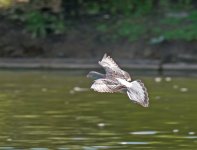 DSC_3566.jpg