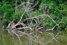 DSC_3452.jpg