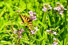 DSC_7991_edited.jpg