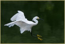 DSC_7050.jpg