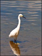 DSC_7029.jpg
